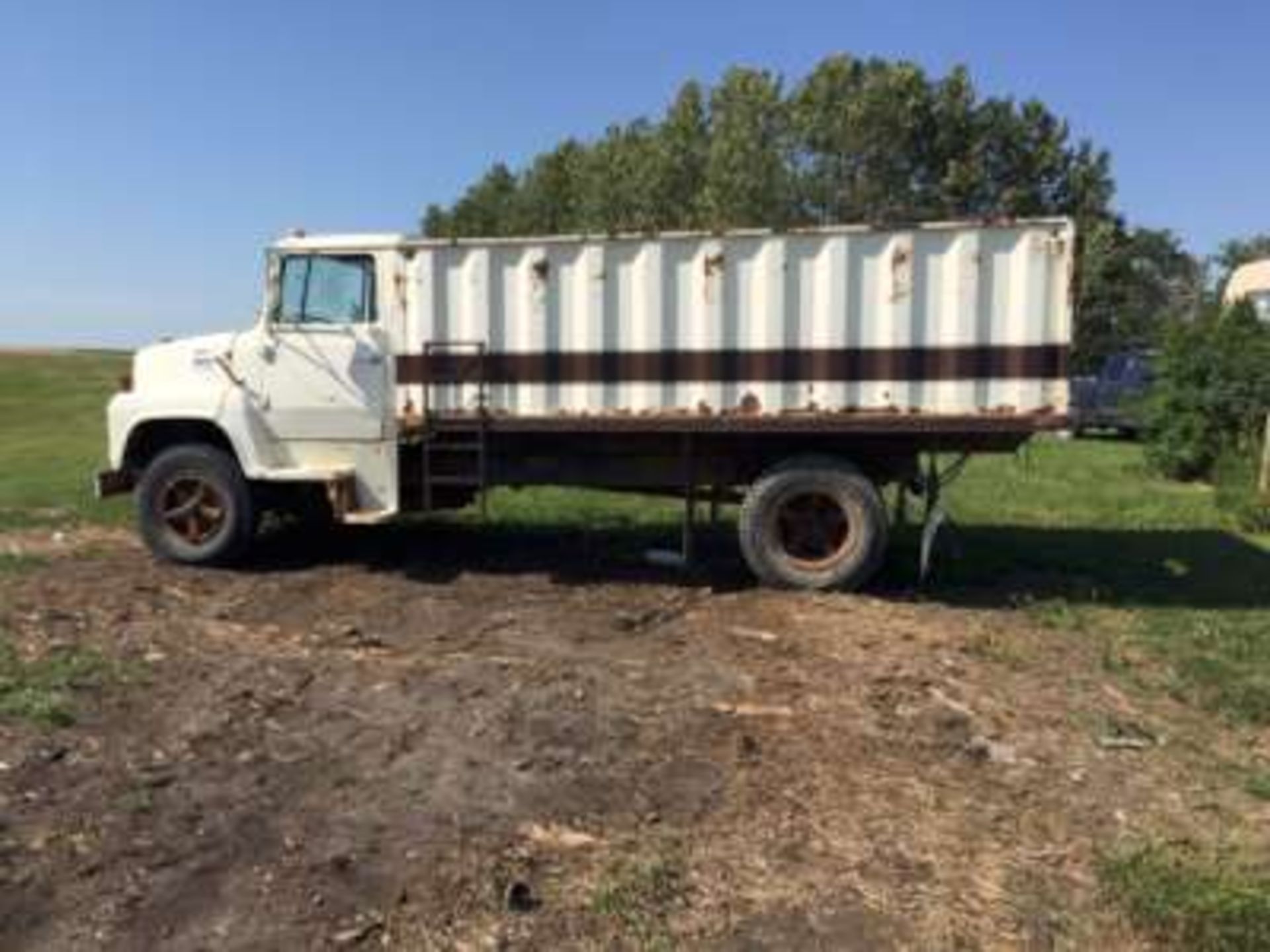 1984 Ford 750 Grain truck, 15ft Univision box & hoist, 63969 original miles, 5&2 transmission, 9. - Image 7 of 7