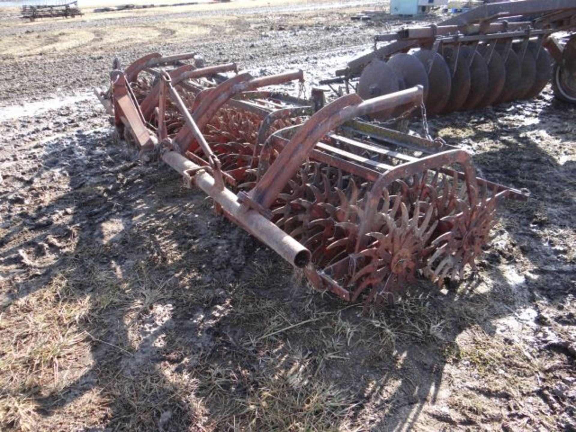 IH 4 Row Rotary Hoe