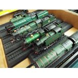 Approximately forty OO gauge model steam locomotives mounted on track plinths,