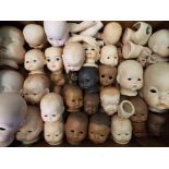Dolls - a quantity of modern heads,