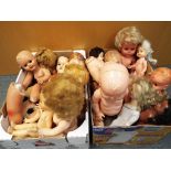 In excess of fifteen dolls, some with missing limbs, some with missing heads,