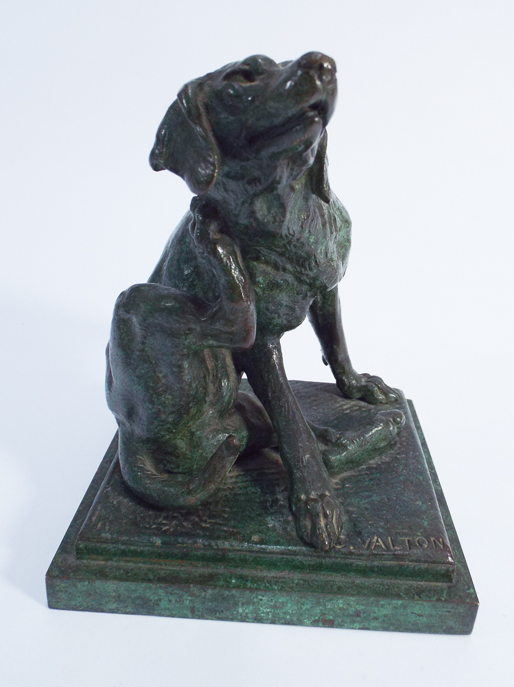 Green patinated bronze of a Labrador dog having a scratch on a square base. Signed Walton 13.