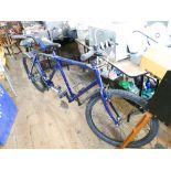 Blue framed tandem bicycle