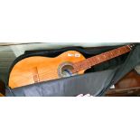Guitar in carry case