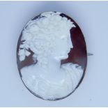 Large oval carved shell cameo brooch in a 9ct gold frame