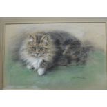 Lucy Dawson pastel sketch of a fluffy tabby cat signed lower right, framed and glazed.