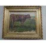 Pair of late 19th century gilt framed oil on canvas paintings depicting cows signed to reverse