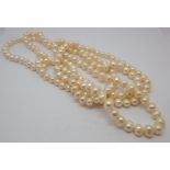 Long row of uniform cultured pearls