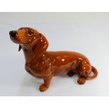 A Beswick fireside model of a seated Dachshund circular black printed mark on base,