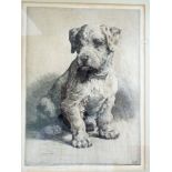 Signed print by Herbert Dicksee of a Sealyham terrier pup, signed in pencil.