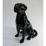 A Beswick fireside model of a Black Labrador dog numbered on base 2314 height 35cms