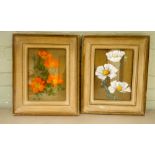 A pair of watercolours of red roses and white daisies attributed to Maxwell Armfield on the reverse,