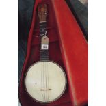 Will Van Allen ukulele banjo