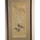 Framed Japanese print of a peacock and another of pigeons in cherry tree,