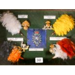 Regimental badges and plumes in glass display case