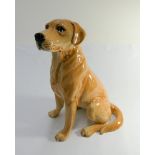 A Beswick fireside model of a yellow labrador numbered on base 2314 height 34cms