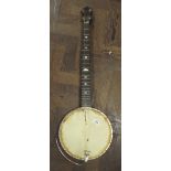 A five string banjo Lost the fifth tuner