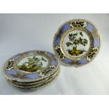 Five matching 20th century porcelain cabinet plates decorated with exotic birds on a lavender back