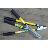 A new Telescopic lopping shears and a new hedge shears