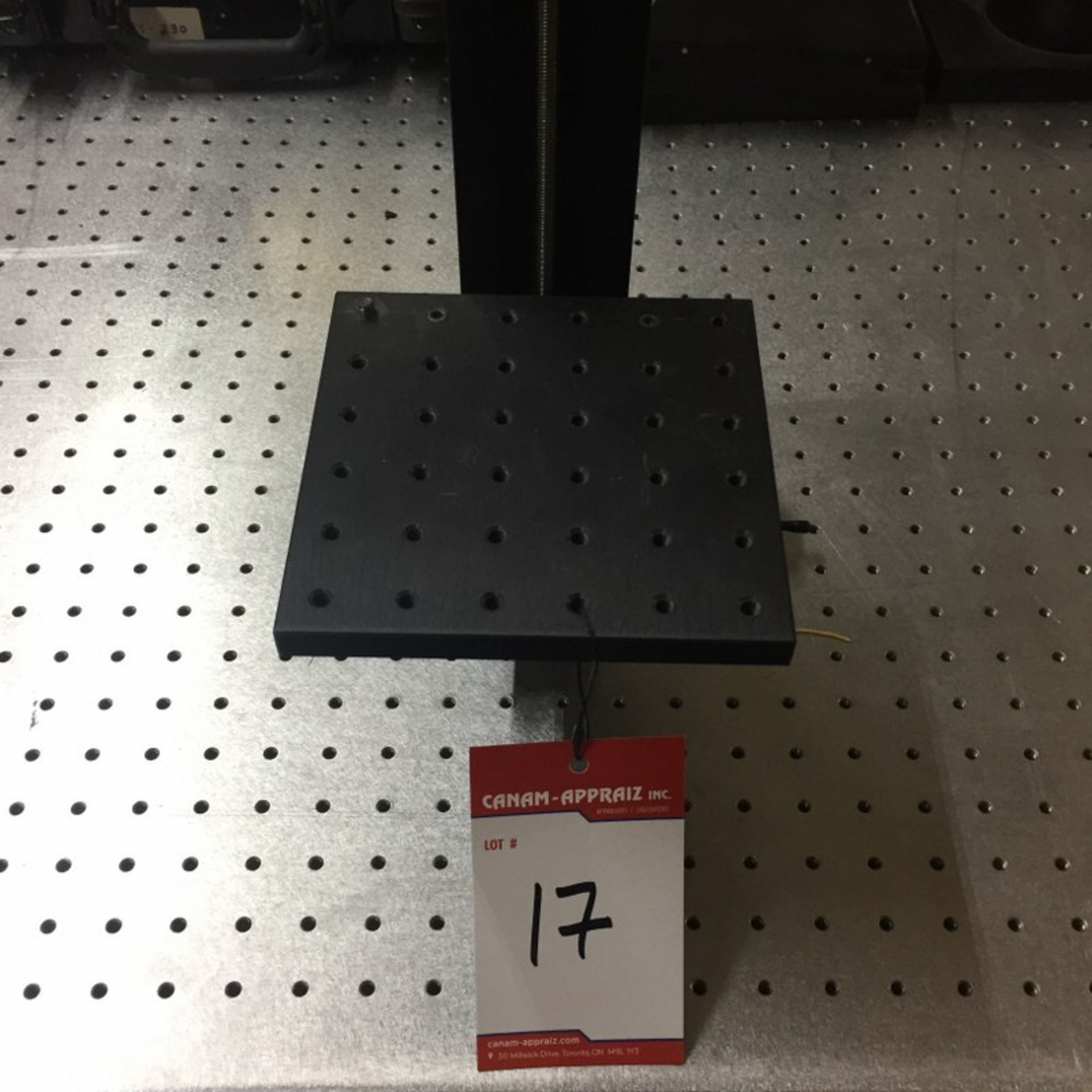 LSM TECH - Laser Scanning and Image Acquisition Stand