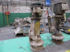 Black Clawson m/n 5DVS vertical turbine pump