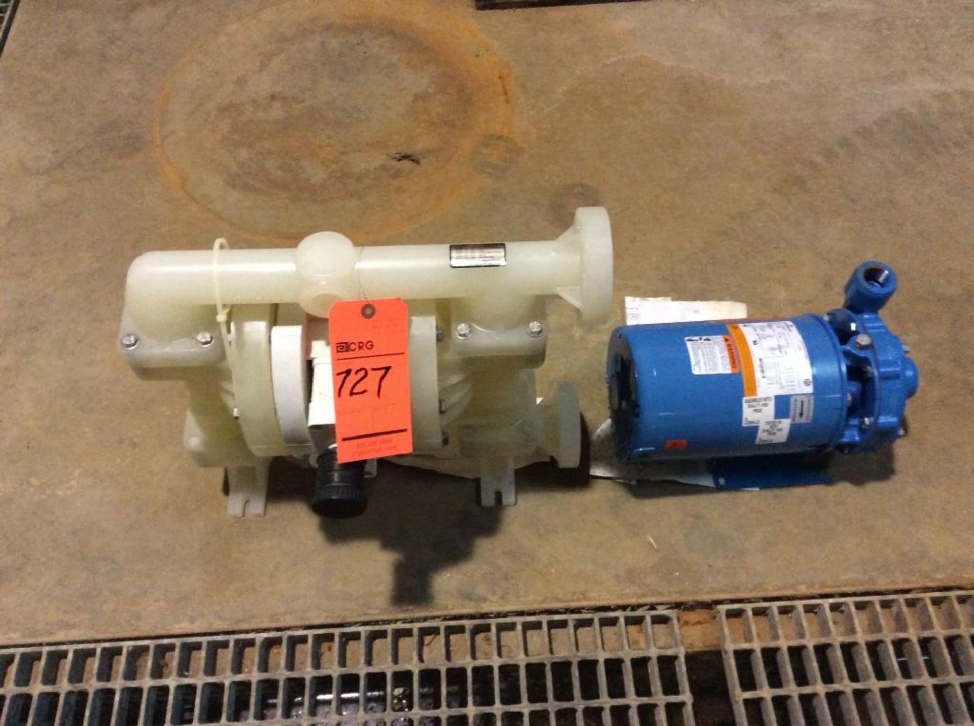 Lot of (2) pumps including Weldon double diaphragm pump, 1 1/4" x 1/4", mn P200/PKPPP/WFS/WF/PTV and