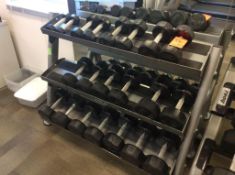 Troy rubber dumbells, 5-50 lb sets with rack