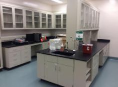 Lot of laboratory counters with undercounter storage, (9) wall mounted storage cabinets, and (1) 4-