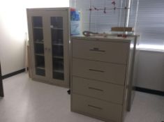 Lot of laboratory counters, file cabinets, and storage cabinets