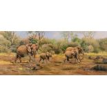 ? Tony Wooding, a herd of elephants in a