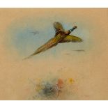 ɑ James Stinton, a pheasant in flight, watercolour, signed,