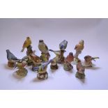 A Royal Worcester group, Yellow Hammers, 3377, and eleven other birds,