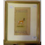 Indian school, a stag, with inscription above and below, watercolour,