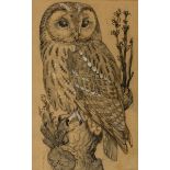 ɑ Charles Frederick Tunnicliffe, a portrait of an owl, pencil heightened with bodycolour on paper,