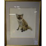 An etching, fox cub,