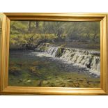 Rex Preston, clear water, Lathkill Dale, Derbyshire, oil on canvas, signed and dated 78, 40 x 55 cm,