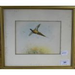 ɑ James Stinton, a pheasant in flight, watercolour, signed,