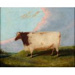 Primitive school, 19th century, a prize cow in a landscape, oil on canvas, 42 x 52 cm,