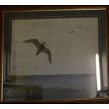 Peter Hayman, snipe in flight over a wetland, pencil and crayon on paper, signed, Medina Gallery,