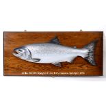 A carved and painted wood 26lb salmon, Caught at Knight's Inlet, B C Canada, 3rd April 1987,