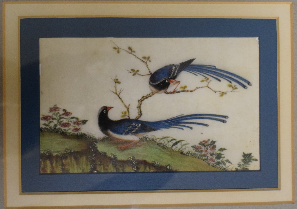 Chinese school, a pair of exotic birds a