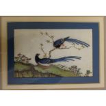 Chinese school, a pair of exotic birds a