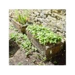 A pair of reconstituted stone garden planters, of rectangular form,