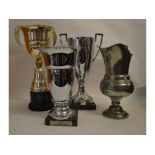 A collection of trophies,