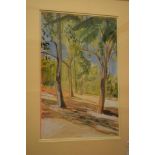 J Doubleday, a study of eucalyptus trees, watercolour, signed, 43 x 28 cm,