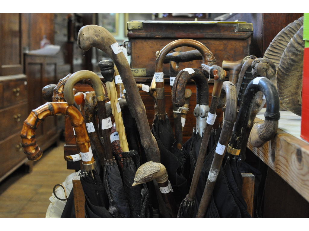 A collection of walking canes, sticks and parasols, some silver or gold mounted,