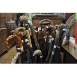 A collection of walking canes, sticks and parasols, some silver or gold mounted,