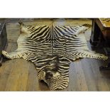 Taxidermy: A Zebra skin,