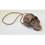 A Papua New Guinean Dayak Tribe Monkeyskull necklace