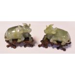 A pair of Chinese hardstone figures, of recumbent buffalo, on wooden stands, slight loss, 7.